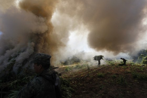 Image: Soldiers carry bundles of marijuana towards a bonfire for incineration during the destruction of a plantation in Amata, Mexico.