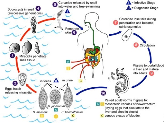 Mummy Worms Work!!