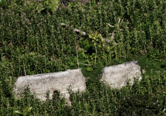 Image: Evidence of settlement