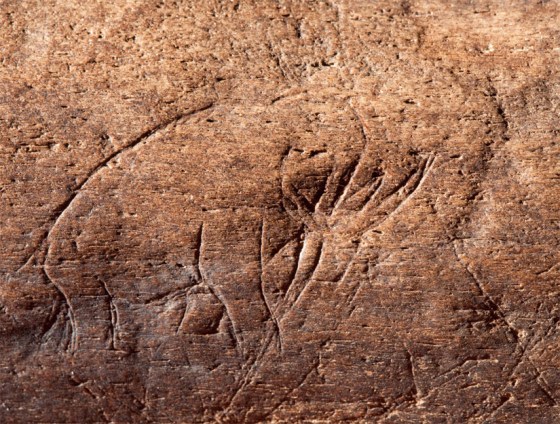 This sketch of a mammoth inscribed on mammoth bone may be the oldest known American art. It was found at a site in Florida.