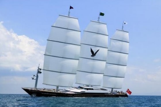 Image: Maltese Falcon