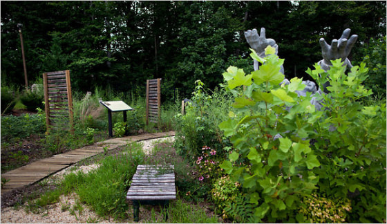 Image: garden where slavery museum was planned