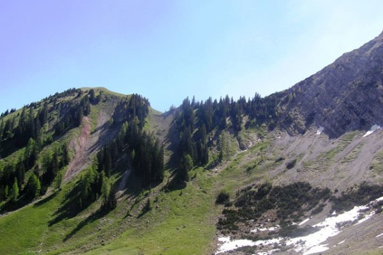 This is the location in the Northern Calcareous Alps (Austria), where sediments for this study were collected.