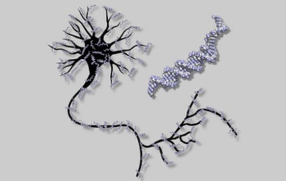 Image: Neural network and DNA strand