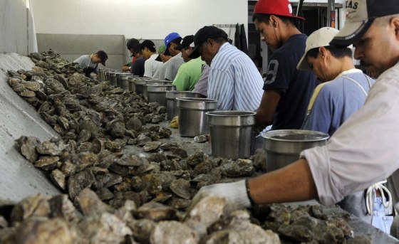 Image: Workers shuck oysters at Jeri's Seafood in Smith Point, Texas