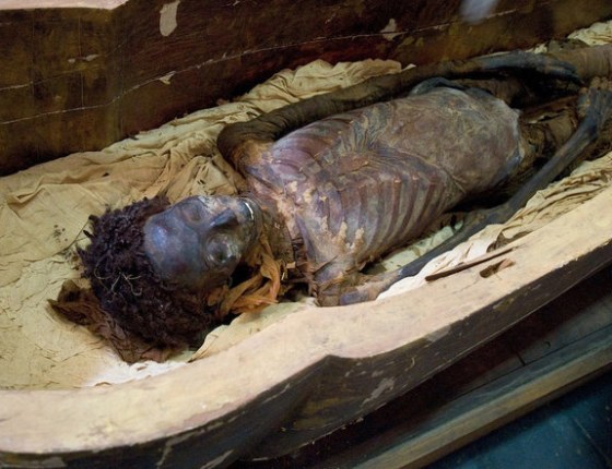 Egyptians kept their hair looking good in the afterlife with a type of fat-based hair gel, new research shows. The mummy Maiherpri, shown here, was alive during the 18th dynasty, slightly older than the mummies sampled in the study.