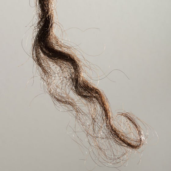 Scientists sequenced the genome contained in this hair, donated to a British anthropologist in 1921, and compared it to the genomes sequenced from Asians, Europeans and Africans. They found evidence that Aborigines are descendants of an early wave of people leaving Africa, who branched off from their Eurasian ancestors.