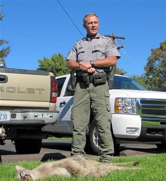 Idaho Department of Fish and Game conservation officer Matt O’Connell stands next to a mountain lion that was tracked down and killed after chasing a 10-year-old boy in southwestern Idaho.