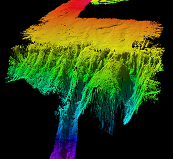 A sonar image of the underwater land masses.