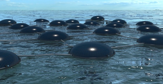This new concept for marine solar cells could harness energy from both the sun and the waves at the same time.