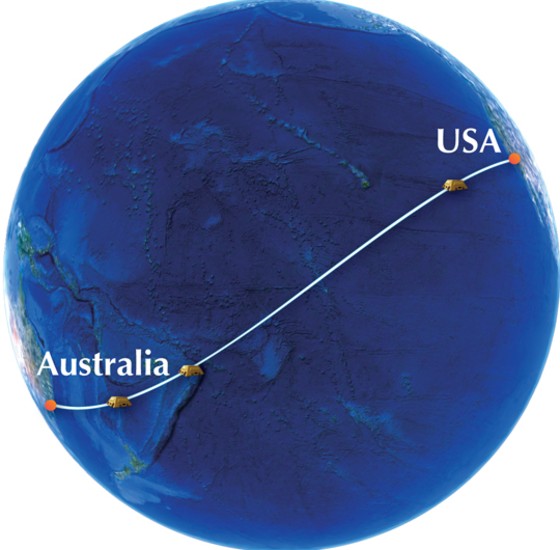 An illustration of the envisioned trans-ocean cable. Initial efforts are looking at using seafloor seismometers, pressure gauges and temperature sensors for hazard warning and mitigation.