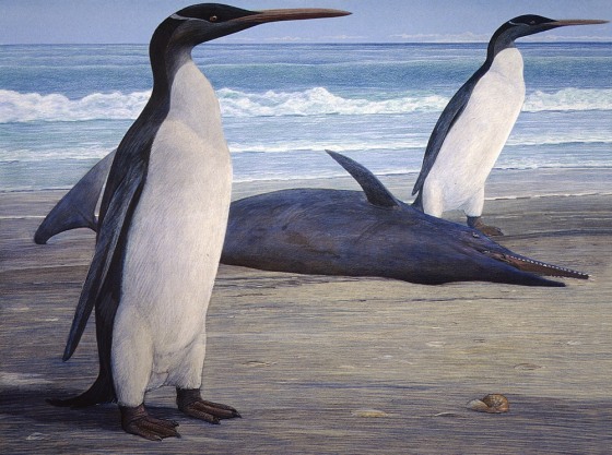 An artist's rendering of two Kairuku penguins onshore, and a stranded Waipatia dolphin.