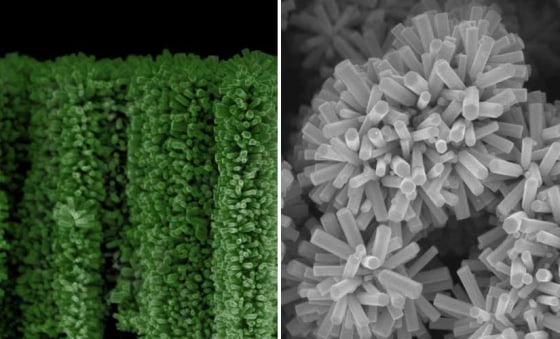 The nanotree forest is 100 times cheaper than current technologies used to split water molecules into hydrogen and oxygen.