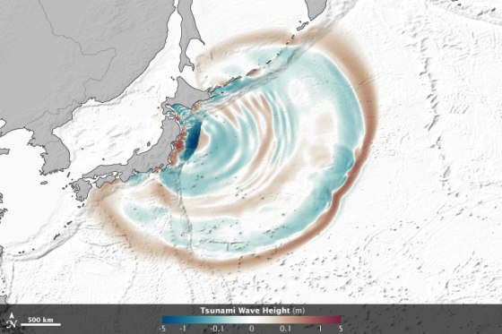 An image from an animation using satellite observations of the March 11 tsunami that shows how the waves of the tsunami were influenced by seafloor features. Wave peaks appear in red-brown, depressions in blue-green and ocean floor topography is outlined in gray.
