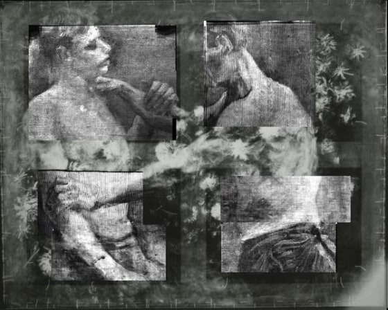 Composite of X-ray of selected areas of the painting, showing the image of two half-naked wrestlers under the flowers. The image indicates that the painting was originally made by van Gogh at art school in Antwerp.