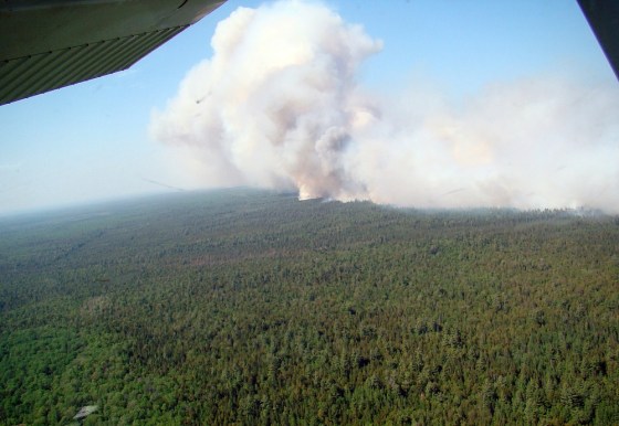 Image: Michigan wildfire