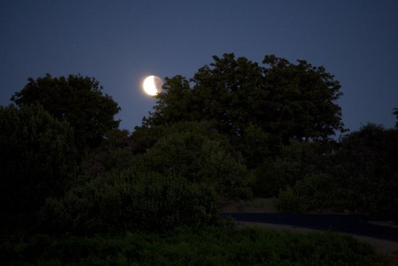 Image: Partial lunar eclipse of June 26, 2010