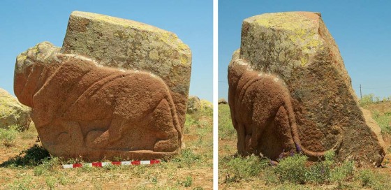 A life-size granite lion sculpture discovered in the town of Karakiz in Turkey. Dating back more than 3,200 years, to the time of the Hittite Empire, the lion is shown "prowling forward" with rippling muscles and a curved tail. In antiquity, there would have been a second lion connected to it, for a total weight of about 5 tons (10,000 pounds). 