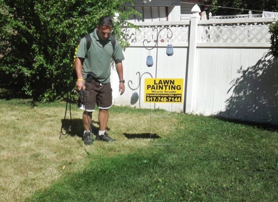 Lawn turning brown Call the turf painters