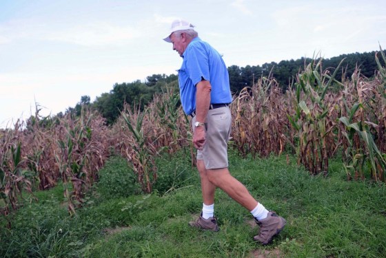 Image: Virginia corn farmer Billy Bain