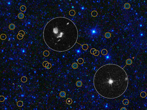 This zoomed-in view of a portion of the all-sky survey from WISE shows a collection of quasar candidates.