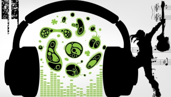 Image: Songs in the key of sea