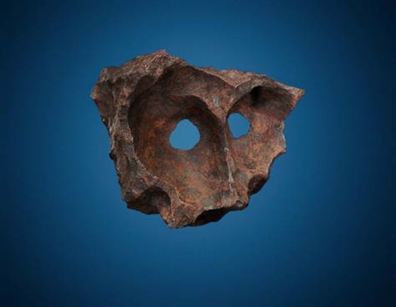 The naturally formed holes on this iron Gibeon meteorite found in Namibia give it an animal-like appearance. It was up for auction on Sunday.
