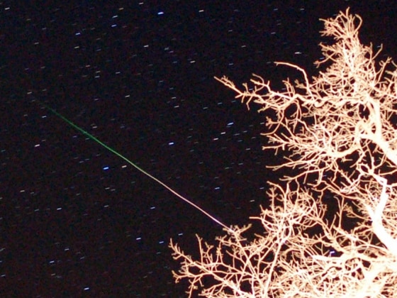 Image: Orionid meteor