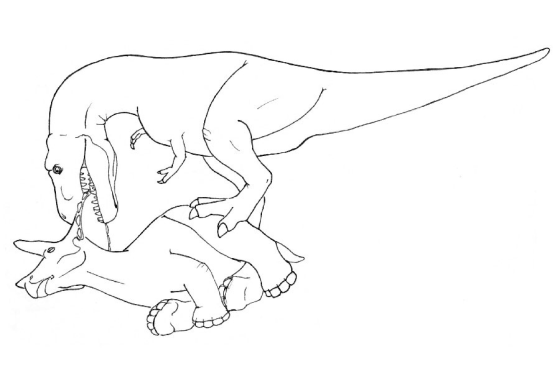 By analyzing bite marks on Triceratops specimens, researchers have figured out how a T. rex may have eaten the beast in four easy steps. Step one: Get a good grip on the bony frill.