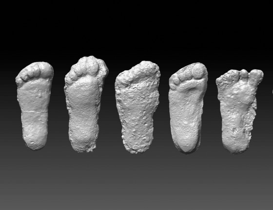 3-D scans of a selection from the more than 200 footprint casts collected in the lab of Jeffrey Meldrum, rendered by the Idaho Virtualization Lab (Idaho Museum of Natural History). The size averages between 16 and 17 inches in length.