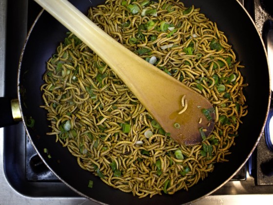 Image: To match Reuters Life! FOOD-INSECTS/