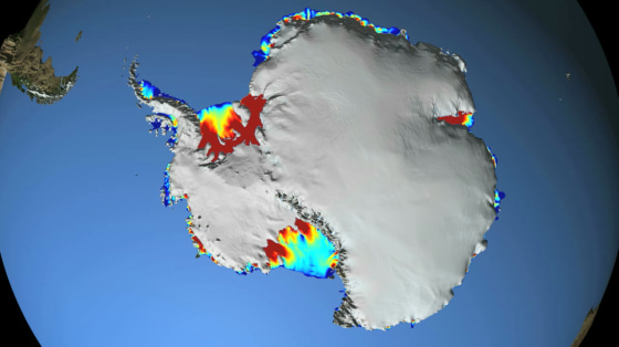 This illustration based on satellite data shows the thickest ice shelves (greater than 550 meters) in red. Thinner ones (less than 200 meters) are in red.