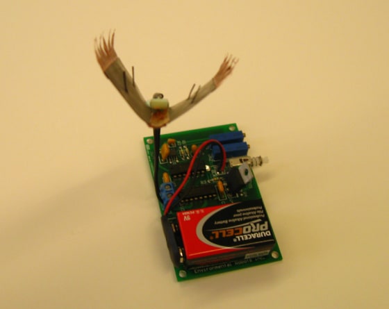 Robotic Venus flytrap snags prey