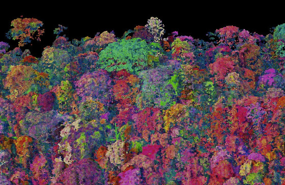 This three-dimensional chemical map of a forest in Panama uses colors to reveal the different chemical compositions of vegetation. Similar maps help researchers understand how diverse and healthy tropical forests are.