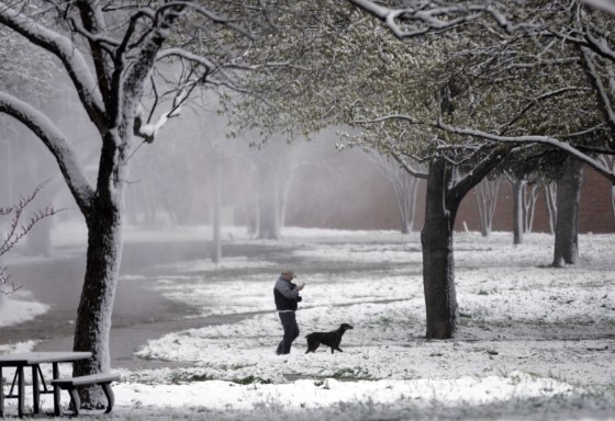 Image: Snow in Dallas, Texas