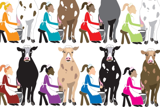 Image: Eight maids-a-milking