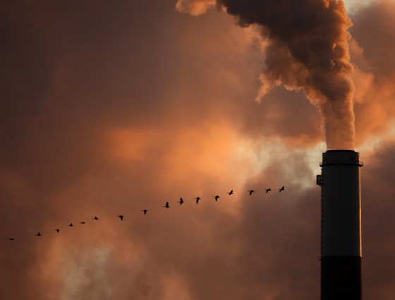 Image: a flock of geese fly past a smokestack