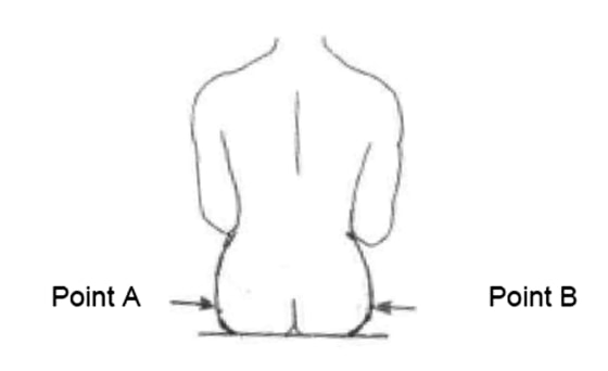 Image: Air Canada diagram to measure a passenger's behind