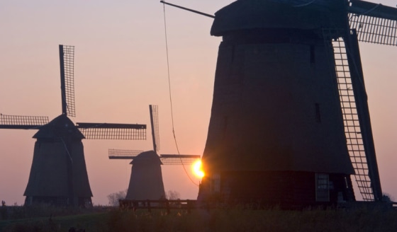 Here, the upper tooth rows of Timor's extinct giant rat (left), the biggest rat that ever lived, compared with the skull of a black rat (right), one of the most common rats, weighing some 5 ounces (150 grams). The skull of the black rat shown here is 35 mm long.