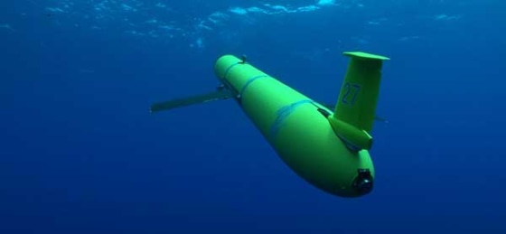 Gliders move by sucking in seawater, which causes them to tip forward and sink. When the glider reaches the desired depth, it expels the water.