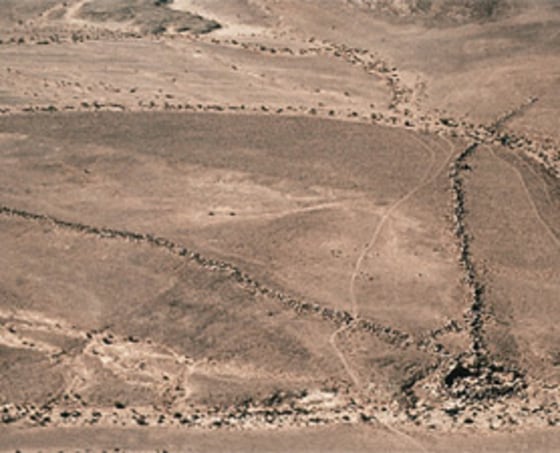 A desert kite, as seen in southeast Sinai. Scientists believe these long, low walls served to funnel wild game into ancient hunters' targets.