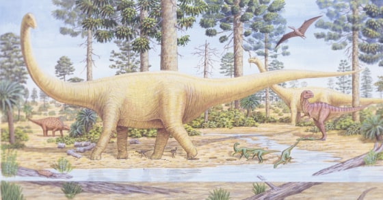 Tooth analysis suggests that sauropods migrated widely to satisfy their gargantuan appetites.