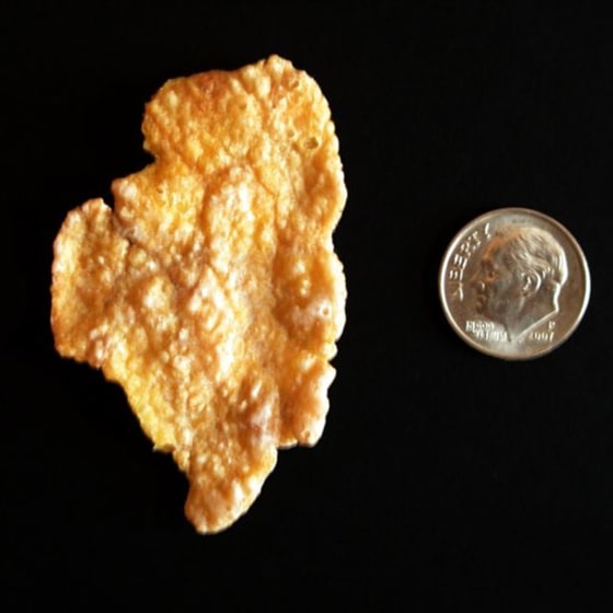 Illinois Corn Flake