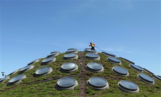 Living Roof