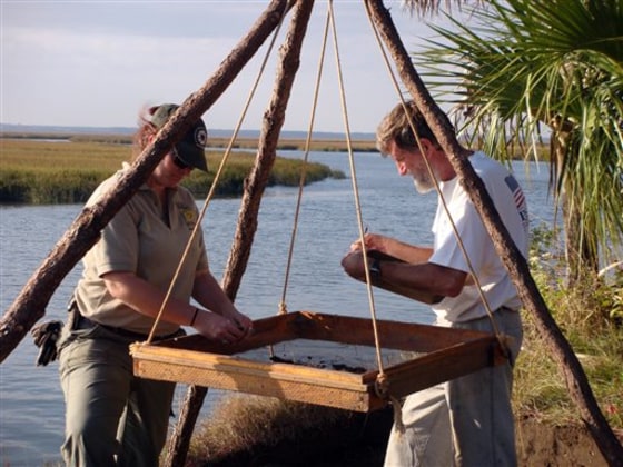 Prehistoric Cremation