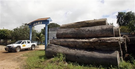 MEXICO ENDANGERED TROPICAL FORESTS