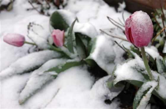 APTOPIX Spring Storm