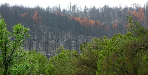 Wildfires Shifting Gears