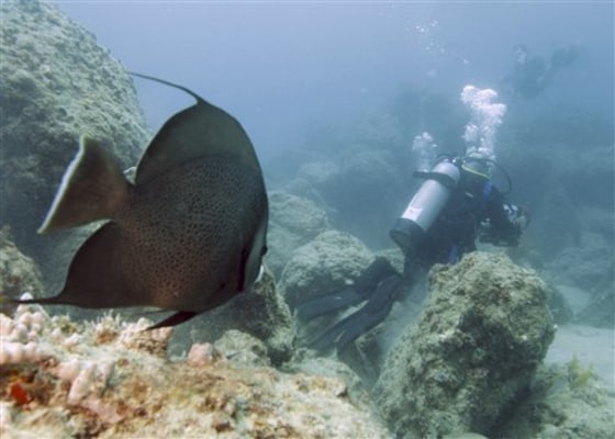 Coral Reefs