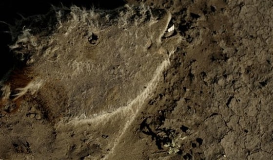 APTOPIX Argentina Drought